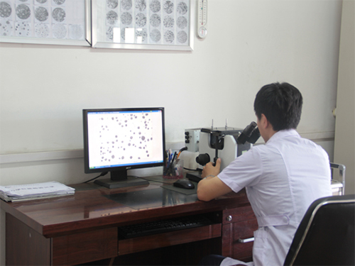 Metallographic Inspection
